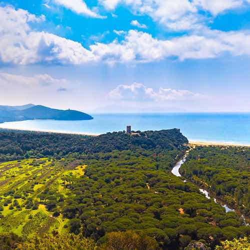 Parco naturale regionale della Maremma 500x499
