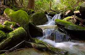 acqua-in-movimento-seta