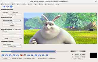 avidmux