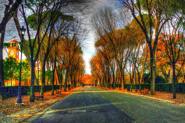 foto prospettiva 650x433