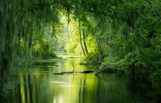 fotografia-naturalistica