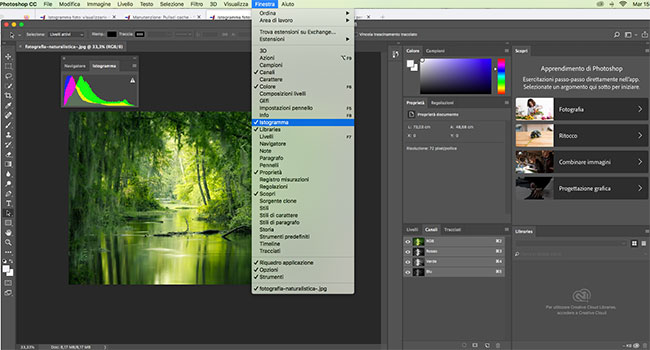 istogramma photoshop 650x350