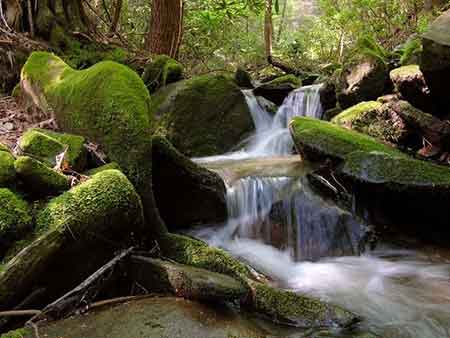 acqua-in-movimento