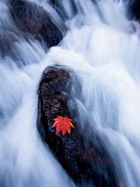 acqua-movimento