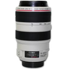 canon-ef-70-300mm-f-4-5.6-is-l-usm-lens