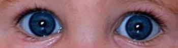 catchlight 350x95