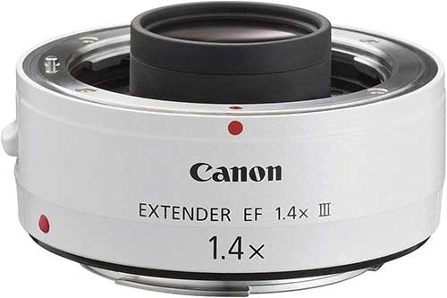 moltiplicatore di focale canon 500x333